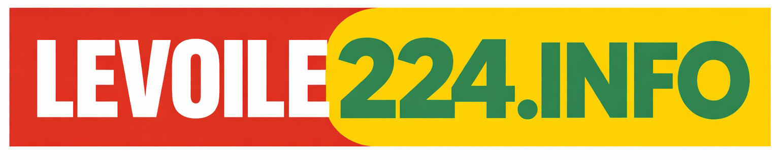 Levoile224.info